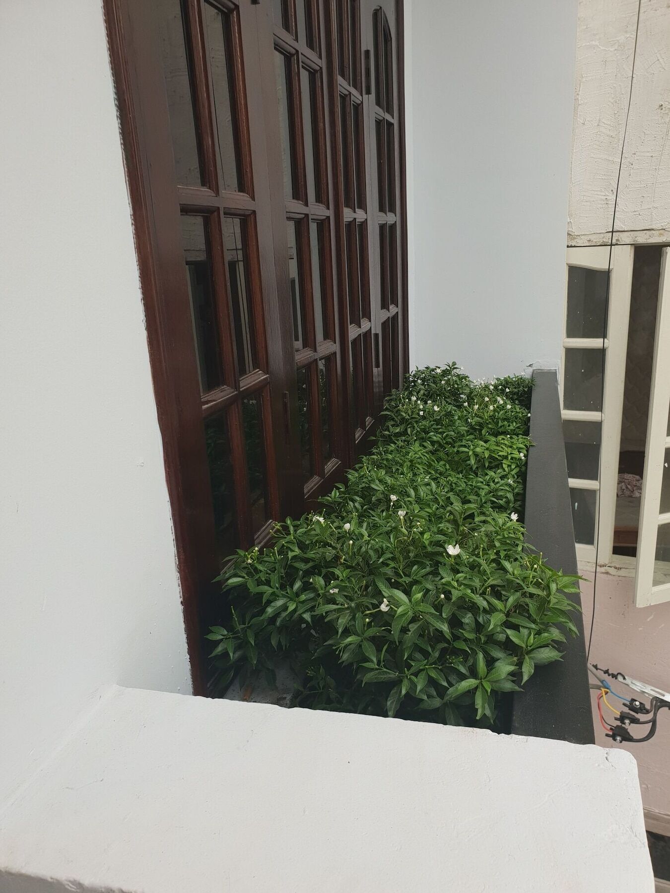 Thai Anh House - The Airport Ho-Chi-Minh-Stadt Exterior foto